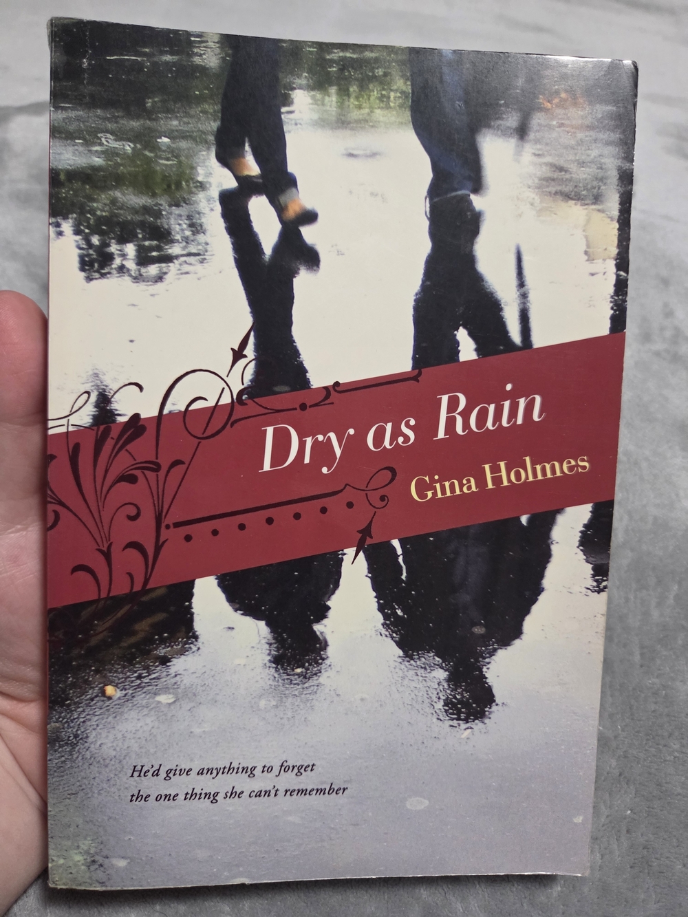 Dry as Rain by Gina Holmes Paperback Book